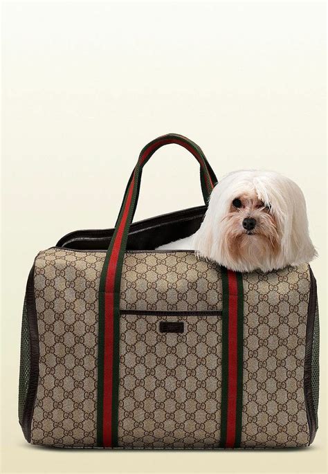 sac pour chien gucci|Designer Dog Carrier .